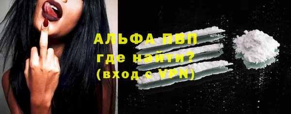 гашик Богородск