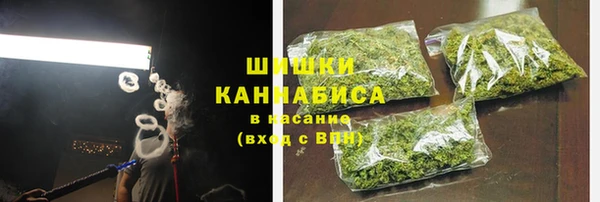 гашик Богородск
