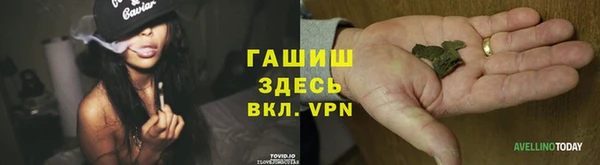стафф Богородицк