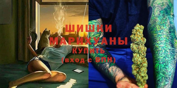 гашик Богородск