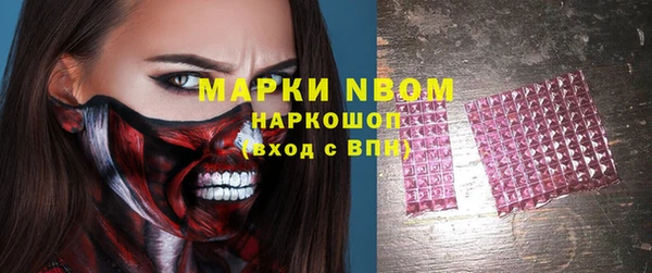 гашик Богородск