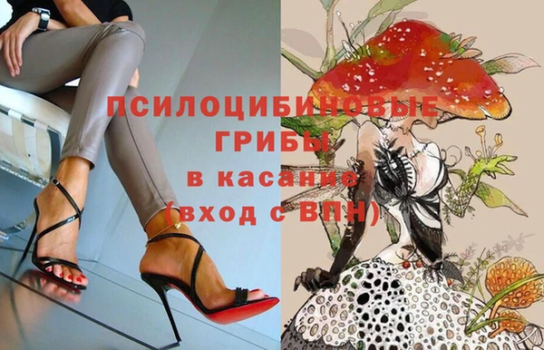 стафф Богородицк