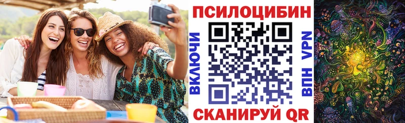 Псилоцибиновые грибы прущие грибы  Кола 