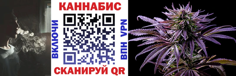 мориарти официальный сайт  дарнет шоп  OMG tor  Кола  Канабис VHQ 